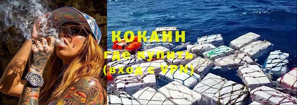 трава Гусев