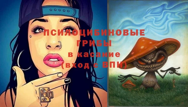 мет Гусиноозёрск