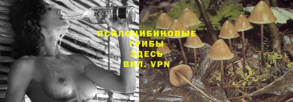 трава Гусев