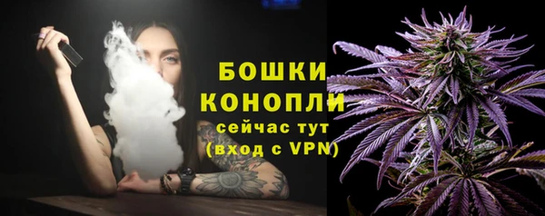 мет Гусиноозёрск